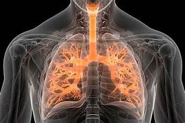 respiratory